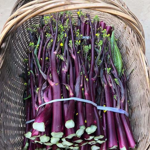 【严选】狮山新鲜红菜苔4斤包邮（基地直发） 商品图2