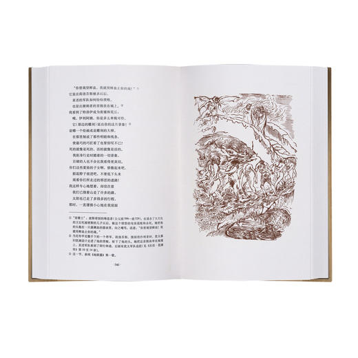 （5折包邮）神曲（插图珍藏本012） 商品图5