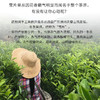 茶小懂私房单丛雪片鸭屎香80G（散装茶） 商品缩略图6
