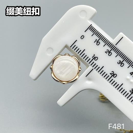 F481(整包购买) 商品图4