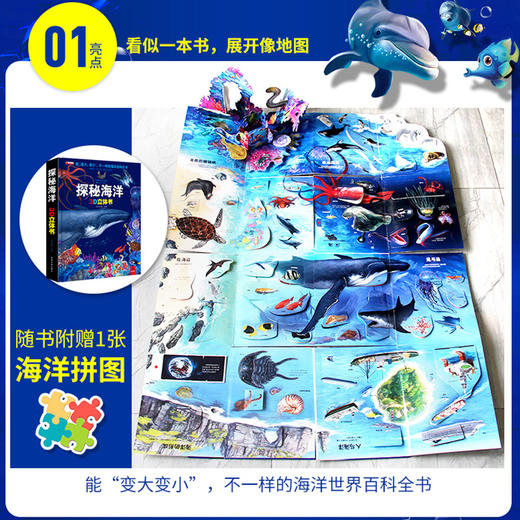 探秘海洋 3D立体翻翻书 商品图2