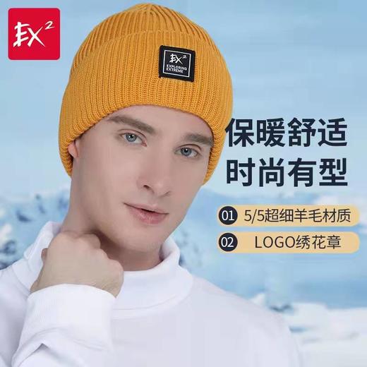EX2伊海诗秋冬纯羊毛混纺针织帽运动休闲防风暖毛线帽男女366051 商品图0