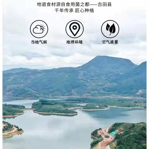 丨有机丨银耳露一箱（1kg*6瓶）银耳来自食用菌之都-福建宁德古田县 商品图5