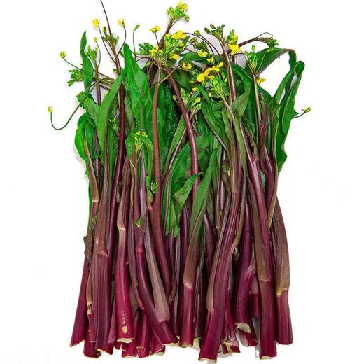 【严选】狮山新鲜红菜苔4斤包邮（基地直发） 商品图3