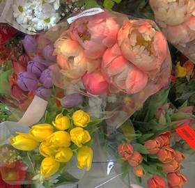 人生过的是心情，生活活的是心态