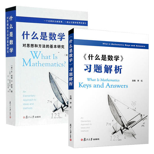 什么是数学习题解析+什么是数学-对思想和方法的基本研究 商品图0