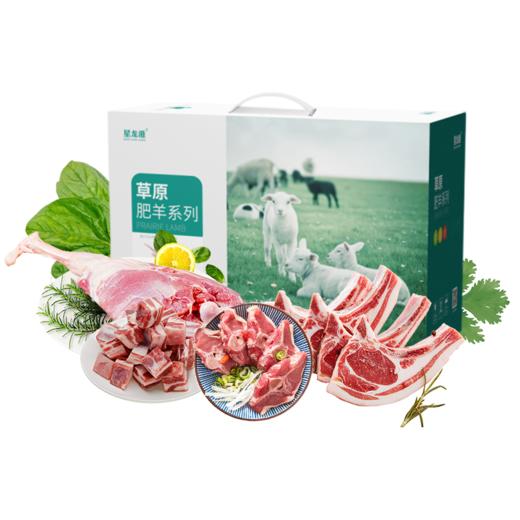 羊肉礼盒—草原之夜 (后腿肉500g  羊肉块500g  羊蝎子500g  羊排500g  羊肉馅500g ) 商品图1