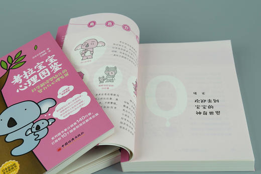 全球教子智慧书系 考拉宝宝心理图鉴：科学解读婴幼儿的智力与心理发展 商品图3