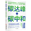 碳达峰·碳中和：国家战略行动路线图 商品缩略图0