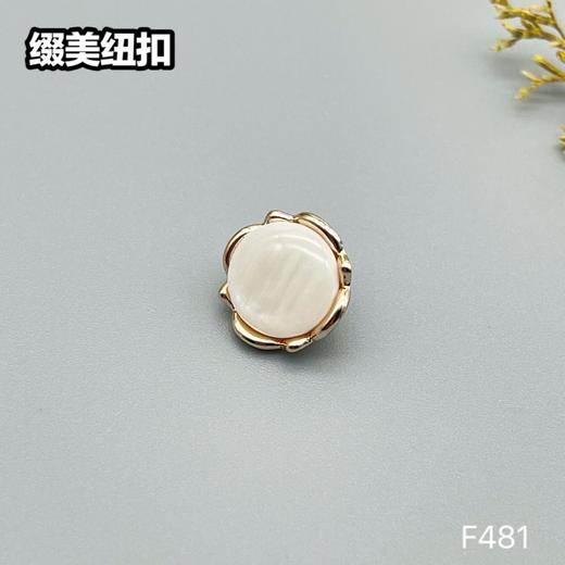 F481(整包购买) 商品图2