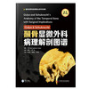 颞骨显微外科病理解剖图谱 原书第3版 颞骨断层切片图像 骨科学书籍 杨仕明 郭维维 伊海金 主译 9787504691996中国科学技术出版社 商品缩略图2