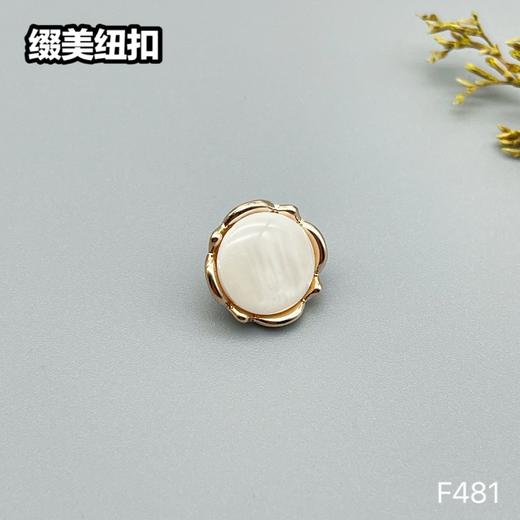 F481(整包购买) 商品图3