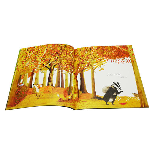 爱整洁的皮皮 英文原版绘本 Tidy 环保题材图画书 入围英国凯特格林纳威奖 埃米莉格雷维特 英文版进口原版英语书籍 商品图2