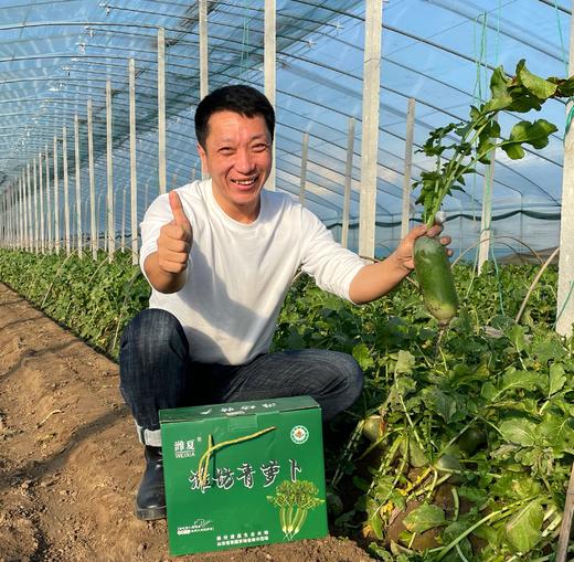 潍坊潍县萝卜礼盒 商品图0