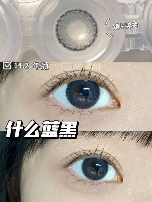 平价年抛丨什么蓝黑·Legal Loli丨14.2mm（年抛/2片装） 商品图0