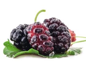 123【wwj】测试批发-快递123