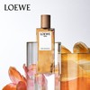 Loewe罗意威光之缪斯粉色木兰花女士香水 30-50-100ml EDP浓香水 馥郁花香调 商品缩略图4
