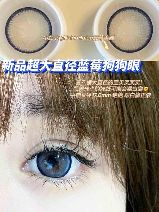 【大直径】Sheepcon-超大蓝莓/波子气泡水-14.5mm【年抛 0-1000度 含有525/575】 商品图1