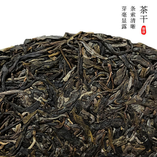 霏鸿茶叶 云南普洱茶生茶饼 2021年头春头采古树纯料 天作之合357g 商品图1