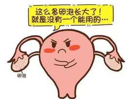 专家都说它对卵泡好，原因在这点——孕立可
