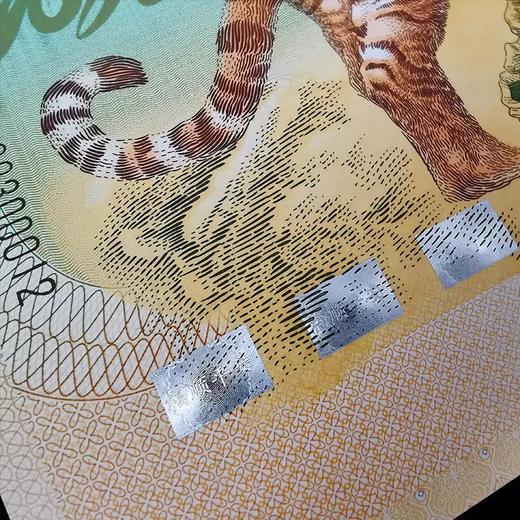 【西安印钞】2022虎年生肖纪念单券 商品图9