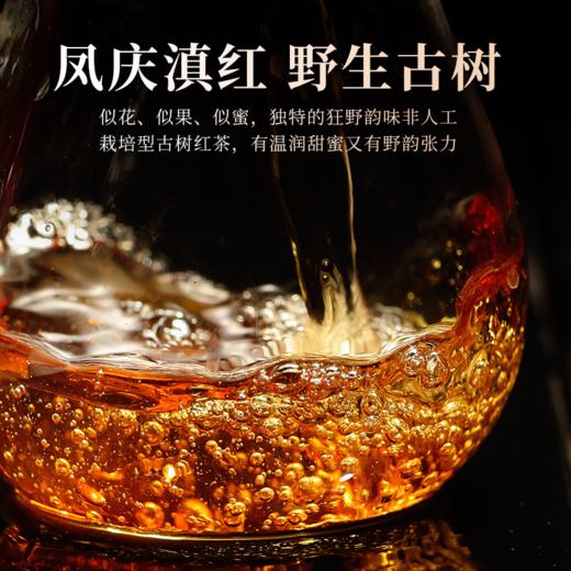 2026滇红茶春茶 野红 凤庆滇红茶叶自然花香味500g/罐 商品图1