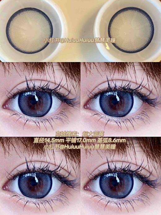 【大直径】Sheepcon-超大蓝莓/波子气泡水-14.5mm【年抛 0-1000度 含有525/575】 商品图5