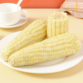 秒杀价~【甜糯白玉米】5根/份，甜糯相间，生态种植，专利产品