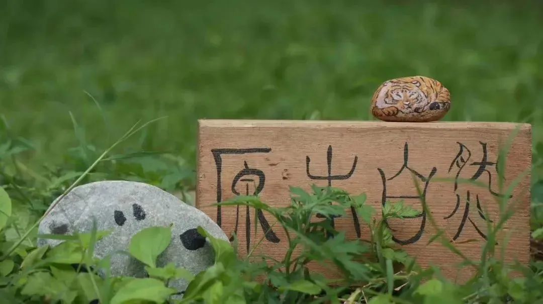 一双有温度的眼睛～导盲犬