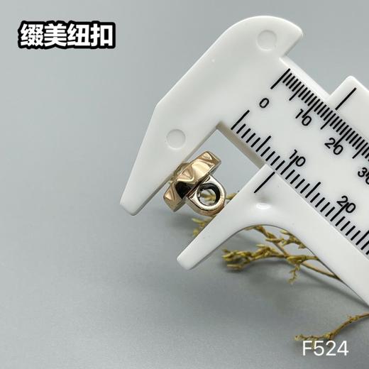 F524(整包购买) 商品图5