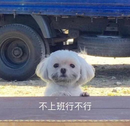 测试0元抽奖批改 商品图0