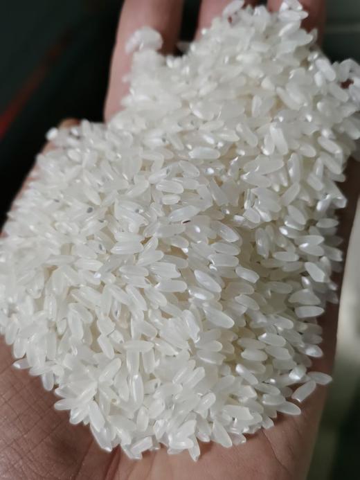 五常大米稻花香二号（礼盒装） 商品图2