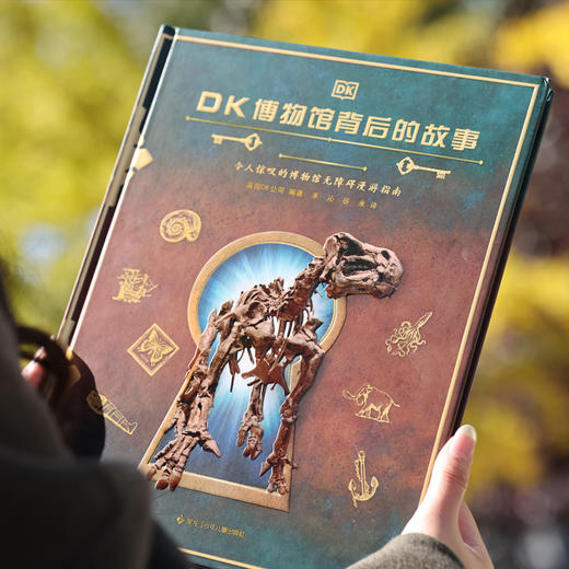 DK博物馆背后的故事 商品图1