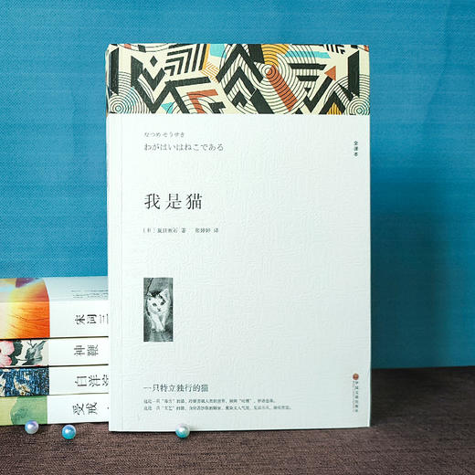 我是猫 全译本 商品图1