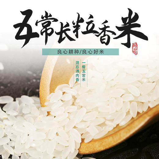 稼穑园五常长粒香  东北大米10斤新米 商品图2