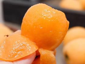  清甜“小金丸”！皮薄肉厚、满口香甜~喉咙不舒服多吃点它! 