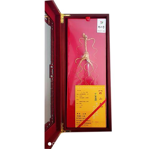 余天成 山参 （五等） （买一送一）直播专享 商品图2