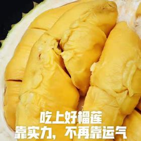 猫山王超实惠，原果更放心