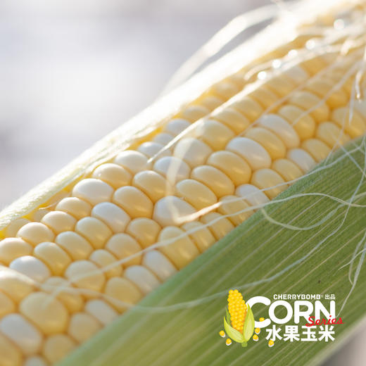 生熟两吃高甜度水果玉米  中通快递 商品图4