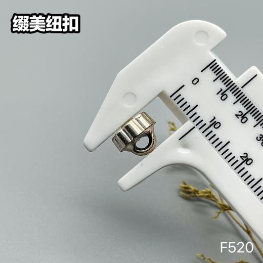 F520(整包购买) 商品图4