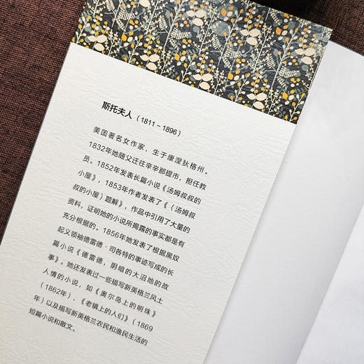 汤姆叔叔的小屋 全译本 商品图4