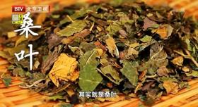  桑叶的用途，三高降了，肝脏、眼睛越来越好！ 