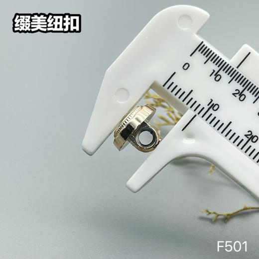 F501(整包购买) 商品图5
