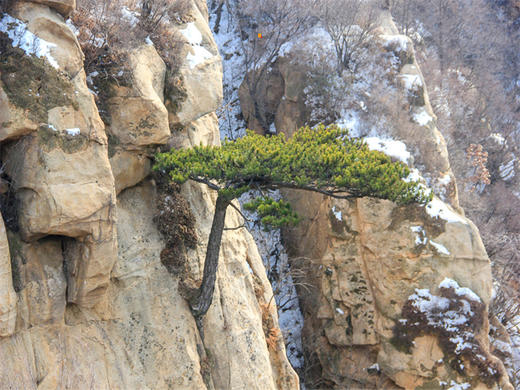 【桃源仙谷1日】打卡帝都版“冰雪奇缘”冬天冰雪奇观-桃源湖气泡冰 商品图4