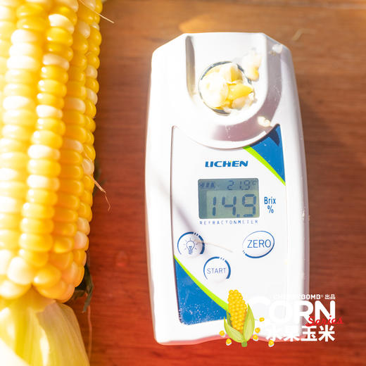 生熟两吃高甜度水果玉米  中通快递 商品图8