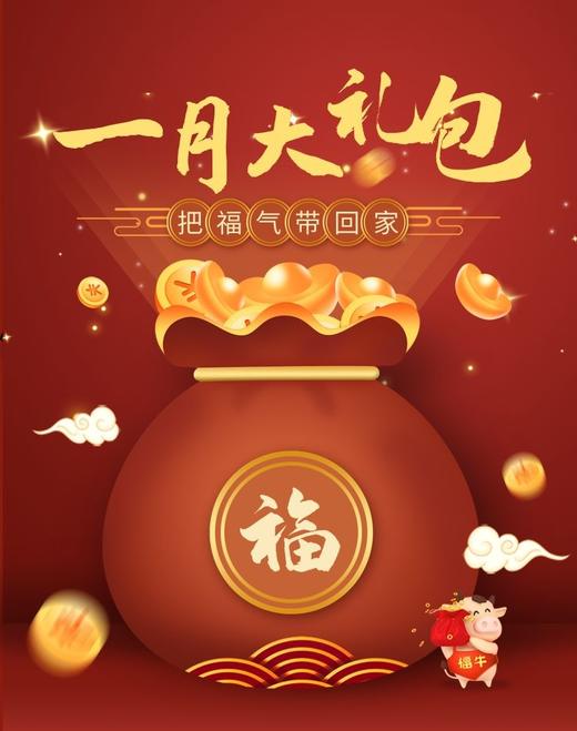 1月方案礼包-1公斤洗衣液（1件，8袋/件） 商品图0