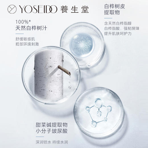 养生堂桦树汁补水保湿面膜 24ml/片*5片装 商品图2