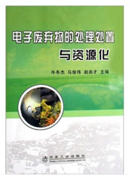 电子废弃物的处理处置与资源化/牛冬杰 马俊伟 赵由才 商品图0