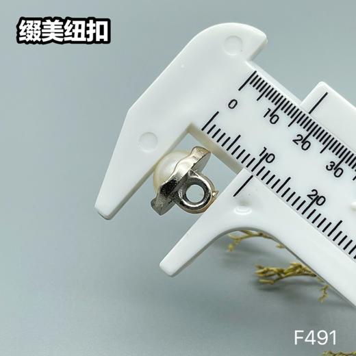 F491(整包购买) 商品图4