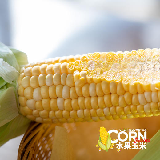 生熟两吃高甜度水果玉米  中通快递 商品图10
